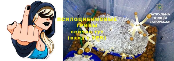 дживик Алексин