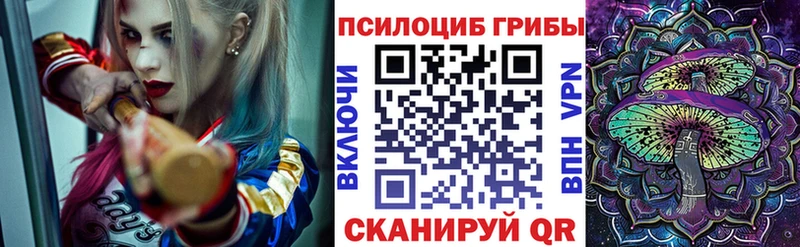как найти   Казань  Псилоцибиновые грибы прущие грибы 